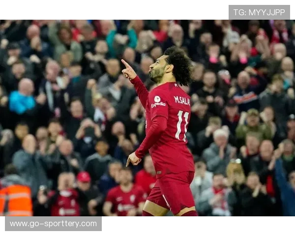 富勒姆vs桑德兰：农场主对升班马战绩佳，黑猫客场难乐观