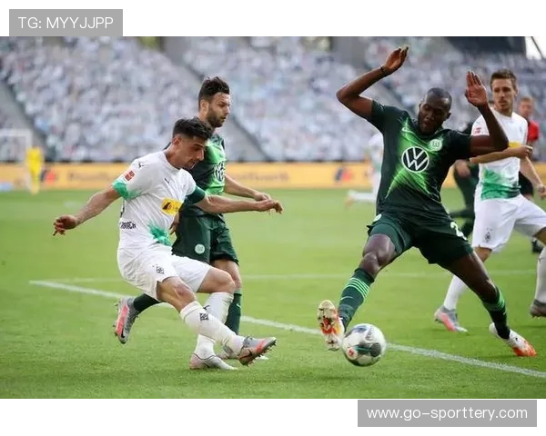 德甲中游球队冲击欧战资格,战术调整与青训投入成关键 德甲中游球队冲击欧战资格,战术调整与青训投入成关键